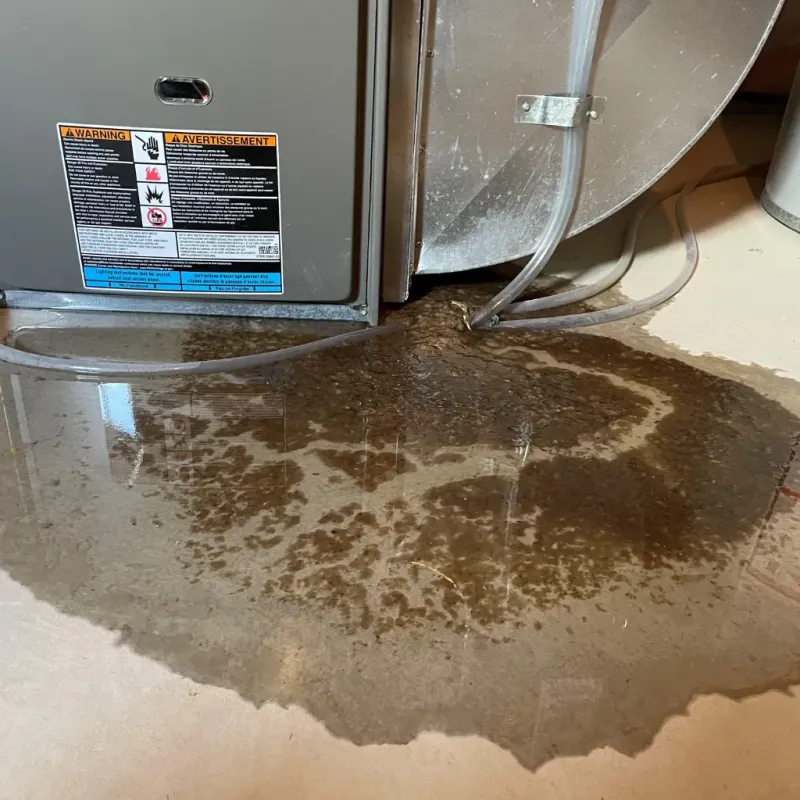 Appliance Leak Cleanup in Pinehurst, NC